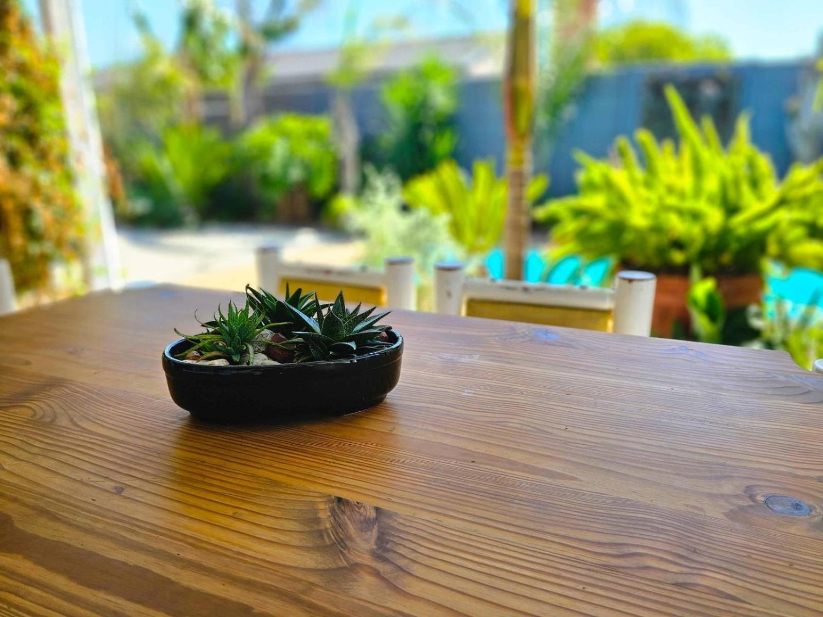 Northern Vine Guesthouse B&B Self-Catering Brackenfell Εξωτερικό φωτογραφία